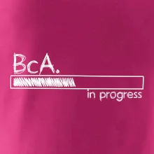 In progress  titul BcA. bakalář / bakalářka umění