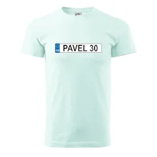 SPZ Pavel 30
