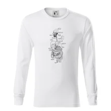 Skica lidských orgánů