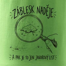 Záblesk naděje