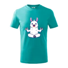 Yoga meditace - lama