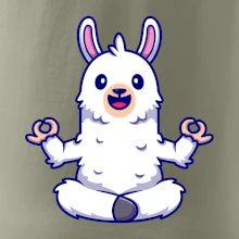 Yoga meditace - lama