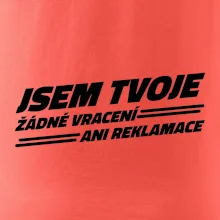 Jsem tvoje žádné vracení Jsem tvoje žádné vracení