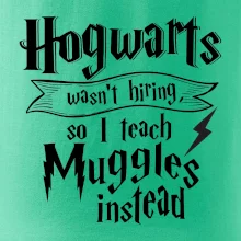 Harry - Hogwarts wasn’t hiring, so I teach Muggles instead