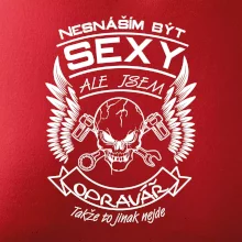 Nesnáším být sexy - opravář