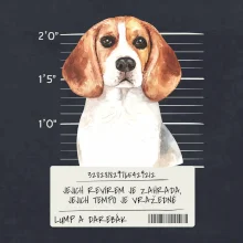 Lump a darebák bígl