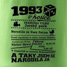 1993 v kostce
