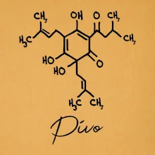 Barová chemie - pivo