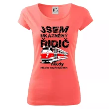 Jsem ukázněný řidič - tramvaj