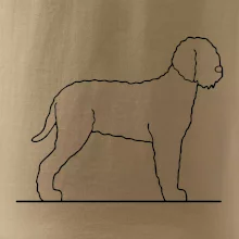 Lagotto romagnolo stojící