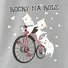 Kočky na kole
