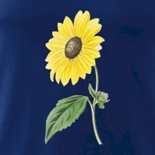 Slunečnice otočená