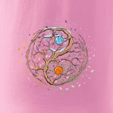 Yin & Yang strom - zima, léto