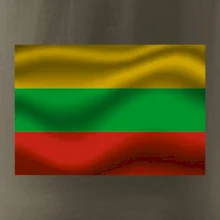 Litva vlajka obdélník