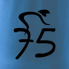 Cyklista slaví pětasedmdesátku (75)