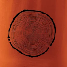 Letokruhy 75 bez věku