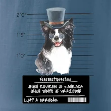 Lump a darebák border kolie