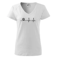 Veterinář EKG Veterinář EKG