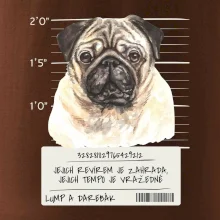 Lump a darebák mopsík