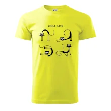 Kočičí jóga (Hana-creative)