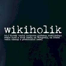 Čeština 2.0 - wikiholik