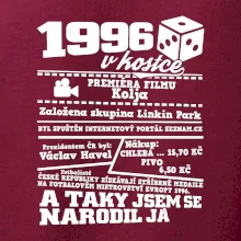 1996 v kostce