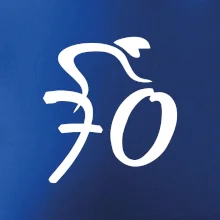 Cyklista slaví sedmdesátku (70)