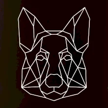 Německý ovčák - Geometrie