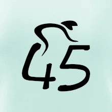 Cyklista slaví pětačtyřicítku (45)