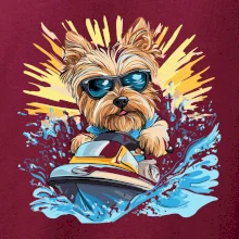 Yorkšírský teriér na vodním skútru