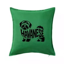 Havanese nápis v těle