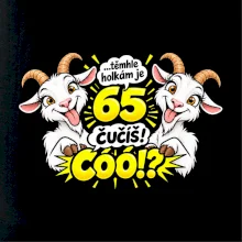Těmhle holkám je 65, čučíš co?