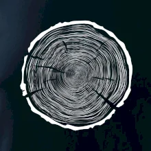 Letokruhy 100 bez věku