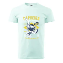 Capoeira  Afro-brazil art