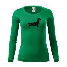 Jezevčík - Dachshund