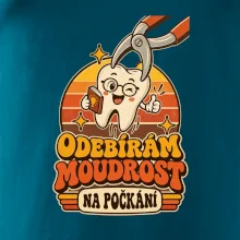 Odebírám moudrost na počkání