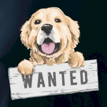 Zlatý retriever - štěně wanted
