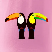 Dva barevní tukani (Moňas)