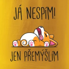 Já nespím, jen přemýšlím