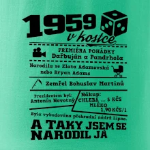 1959 v kostce