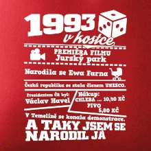 1993 v kostce