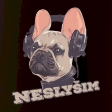 Francouzský buldoček neslyším