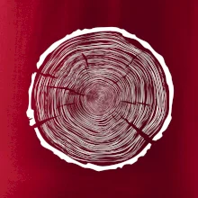 Letokruhy 100 bez věku