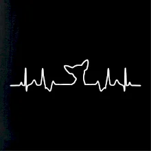 Čivava EKG Čivava EKG
