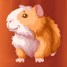 Morče - kreslené, bílo oranžové