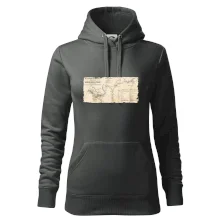 Mapa Báňské dráhy z Moravské Ostravy do Doubravy