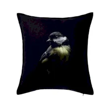 Sýkora koňadra černá fotka