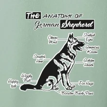 Německý ovčák - Anatomie