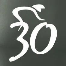 Cyklista slaví třicítku (30)