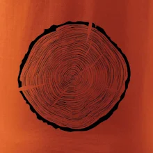 Letokruhy 55 bez věku